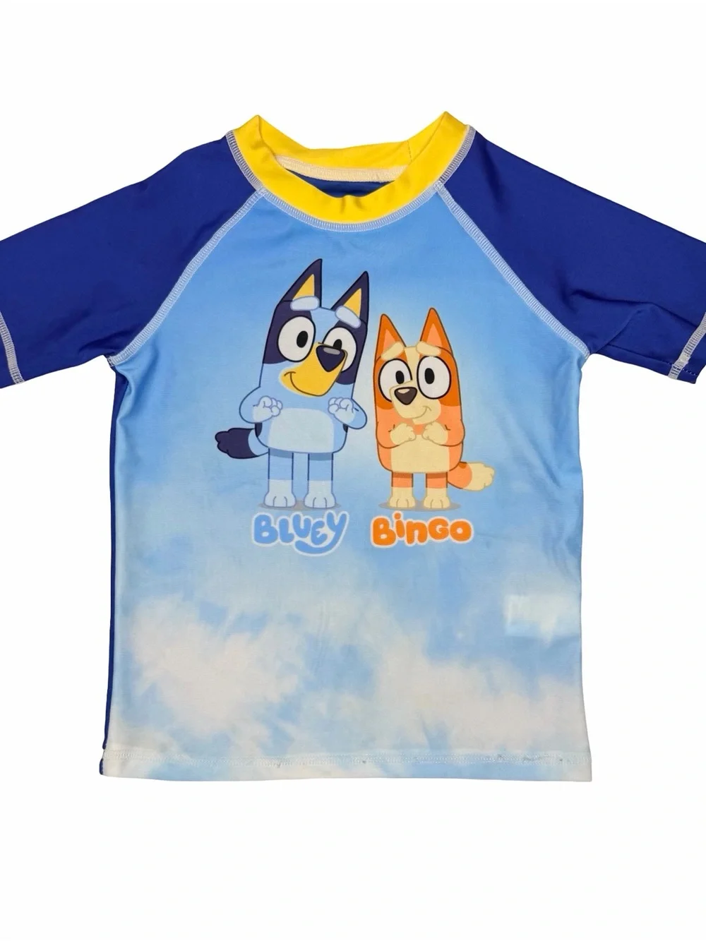 Bluey swim trunks